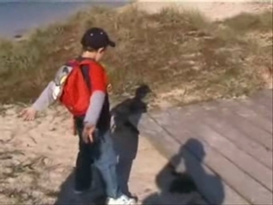 vacance voyage  isla (ile) arosa