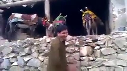 Pashto funny video, funny pathan, donkey prank, urdu funny, pakistani funny videos, punjabi funny videos, funny fails, amazing people