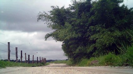 Lonely cyclist, Ciclista solitário, hoje na lama e chuva, nas várzeas do Rio Paraíba do Sul, (6)