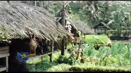 traditional village Naga Salawu Tasikmalaya - Indonesia