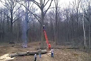 The worst case scenario when trying to trim a tree. Luckily, the chainsaw guy manages to walk away.