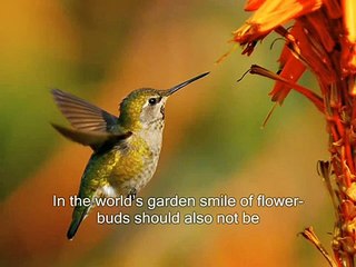 Poem - Jawab-e-Shikwah by Allama Iqbal - 3 3 (+Subtitle) (Low)