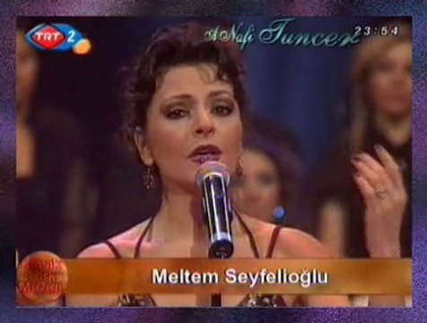 Meltem SEYFELİOĞLU-Geçti Hayâl İçinde Bunca Yıl Bir Gün Gibi