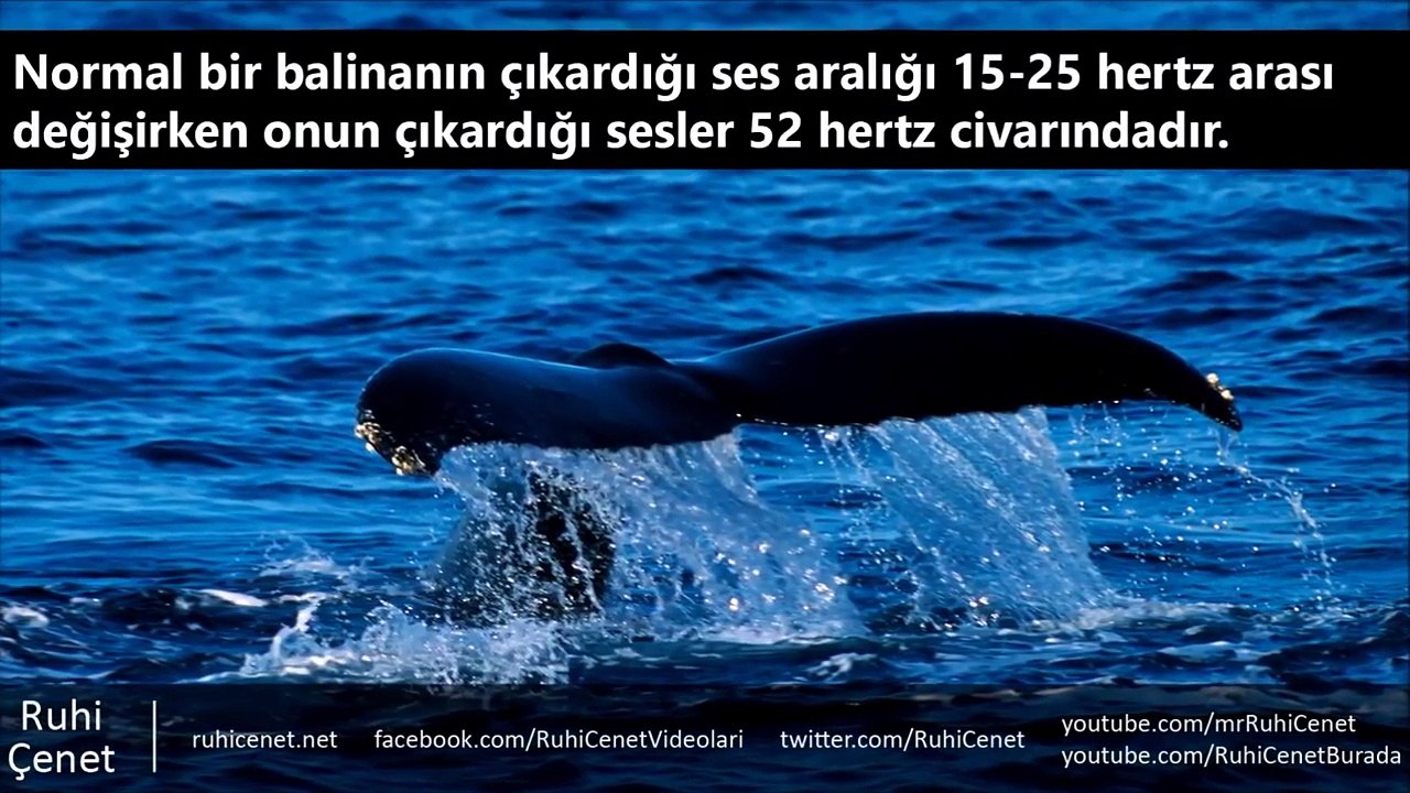 Dünyanın Kaydedilmiş En Gizemli 6 Ses Kaydı