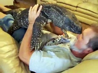 Giant Monitor Lizards make an awesome pet