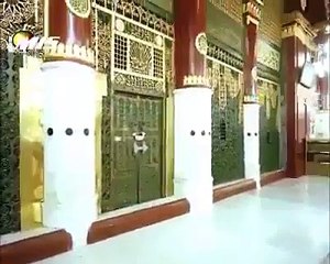Masjid e nabi ki mukamal ziyarat tafseer o 7 stoon subhanallah
