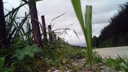 Lonely cyclist, Ciclista solitário, hoje na lama e chuva, nas várzeas do Rio Paraíba do Sul, (11)