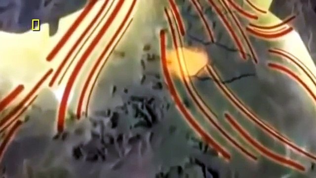 Documental de Leones - WILD - Las Garras de la Muerte - NatGeo