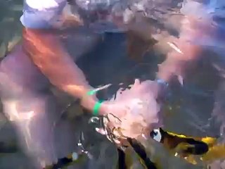 Экзотические рыбки / funny fish