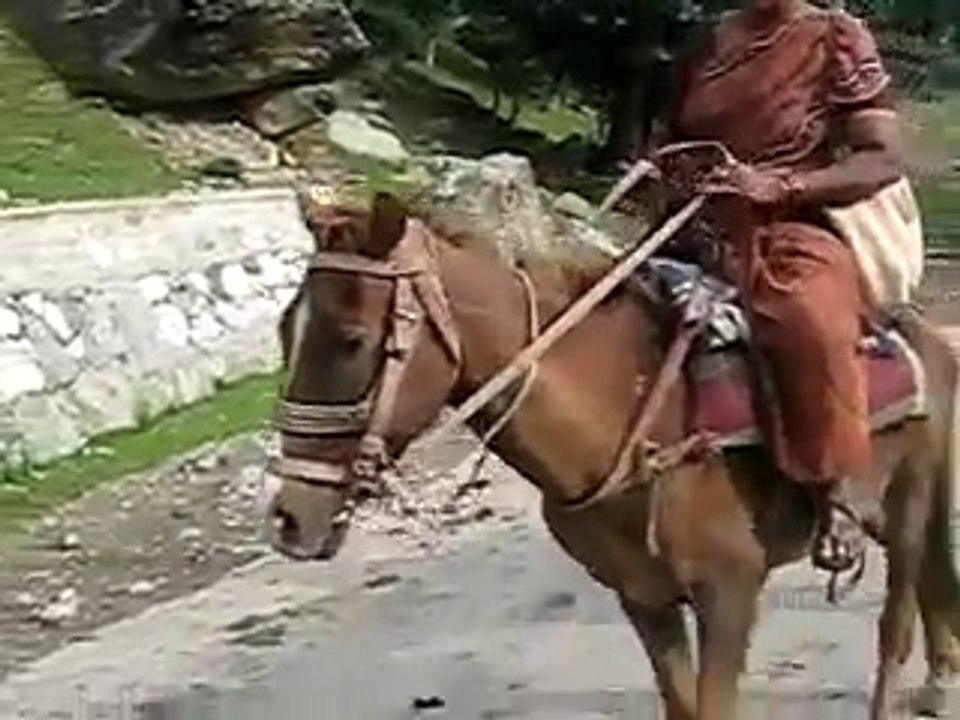 Indian Woman on Pony in Kashmir