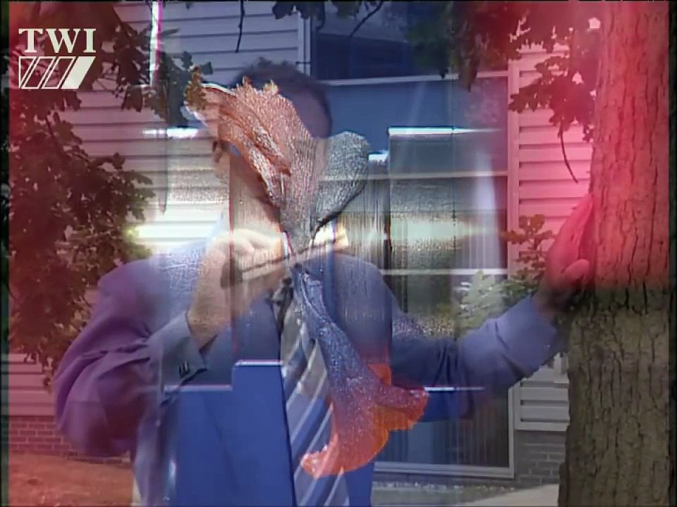 Linear friction welding of wood