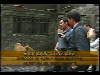 lion grabs tourist
