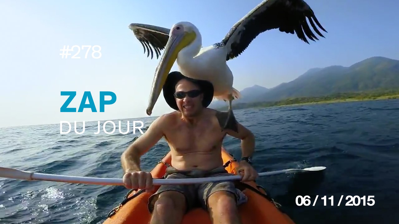 ZAP DU JOUR #278 : Mad Max : Fury Road VS Mad Max Trilogy / On n'arrête pas le progrès ! /