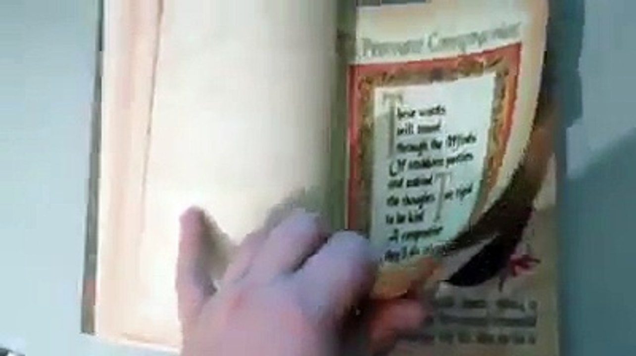 Book of Shadows Mini 3 0 Flipthrough