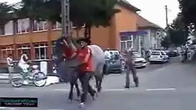 Дерзкая кобыла мужику не повезло!