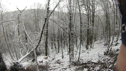 1 sanglier ferme neige loupe
