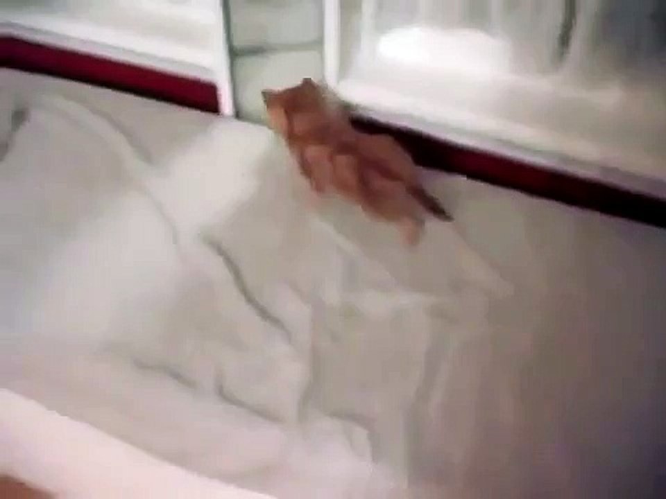 Котейка и зеркало