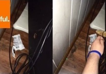 Handy Cat Helps Out Around the House