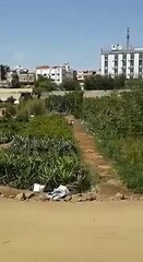 نبی اکرم صلی علیہ وسلم طائف میں دعوت وتبلیغ کے باد اس باغ میں آرام فرمایا تھا