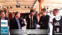 MARSEILLAN - VIAS - 2015 - REGIONALES 2015 Dominique REYNIE - Stéphane ROSSIGNOL en campagne