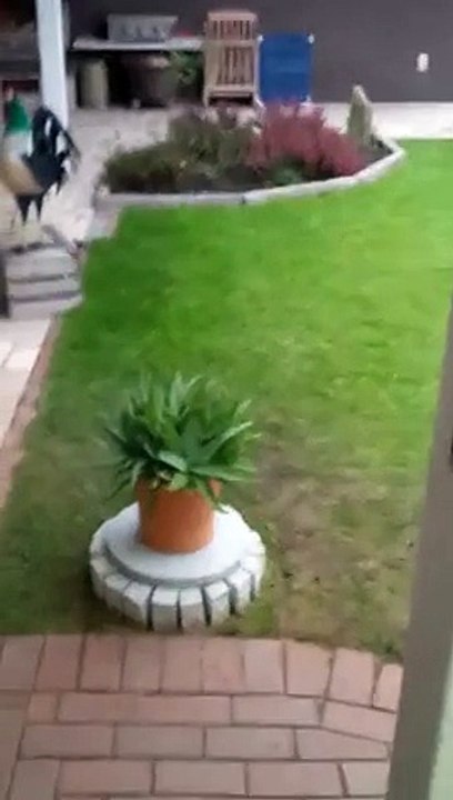 Quand ma femme se barre, fiesta avec les potes !