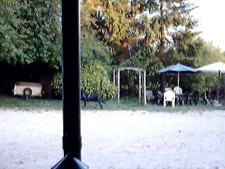 presentation du patator