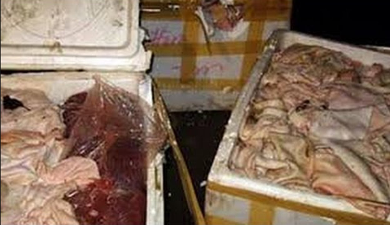 Hà Tĩnh: Bắt xe tải “tuồn” 500kg nội tạng thối từ Nam ra Bắc