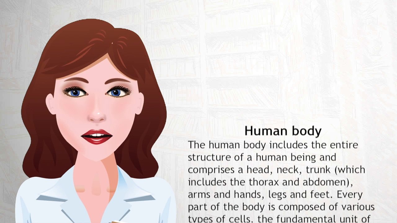 Human body