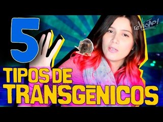 5 Tipos de Transgênicos e Suas Aplicações