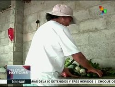 Ecuador: pequeños productores apuestan por el mercado orgánico