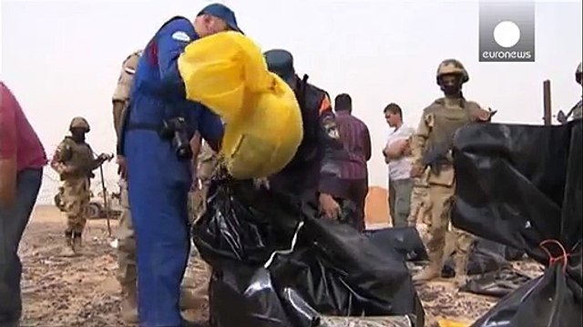 Катастрофа в Египте: Каир и Москва отговаривают Европу от поспешных выводов