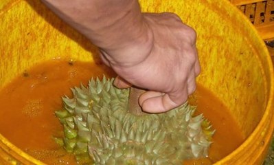 Công nghệ 'phù phép' vẻ ngoài bóng bẩy cho trái cây