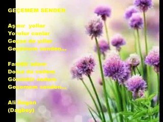 GEÇEMEM SENDEN   Dagbey Şiirleri