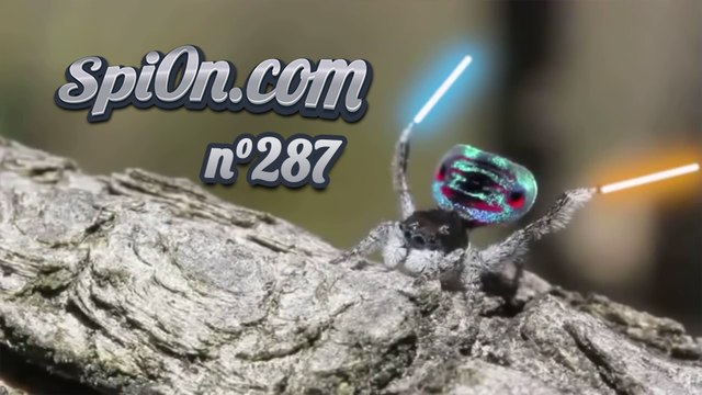 Le Zap de Spi0n n°287 - Zapping du Web