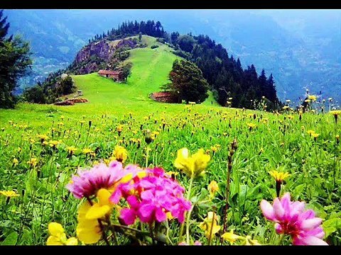 Shina song Bay bon la tom giltat bujun by singer of Gilgit Baltistan Jabir Khan Jabir