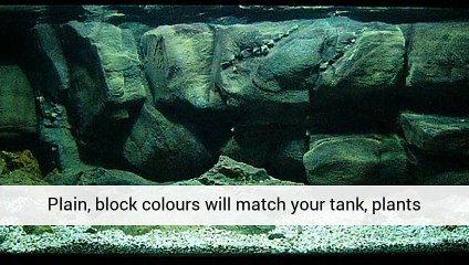 Aquarium Plants Aquarium Tank Freshwater Fish Tank Plant