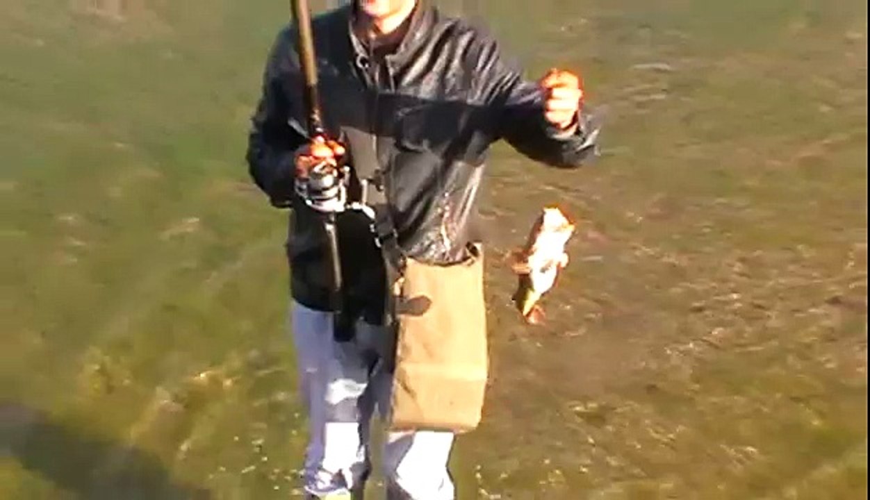 سمك الكوال او فم بوشكارة uranoscope