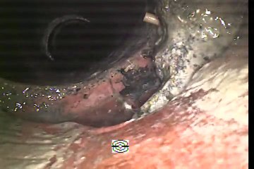 7110 South Vermont Los Angeles