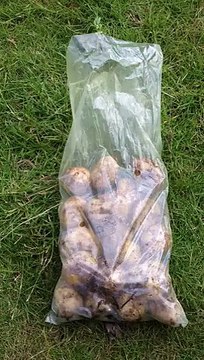 Il a trouvé l'astuce pour éplucher un seau rempli de pommes de terre en 60 secondes