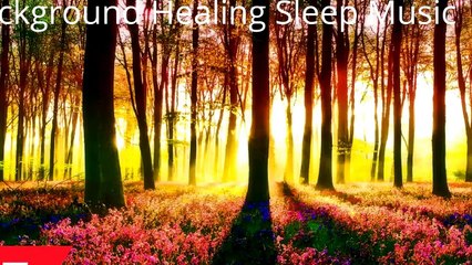 Слушать Классическую Музыку Бесплатно в Хорошем Качестве.