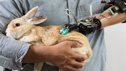 Cyborg Nation - This Robotic Hand Can Touch and Feel, Just Like a Human Hand