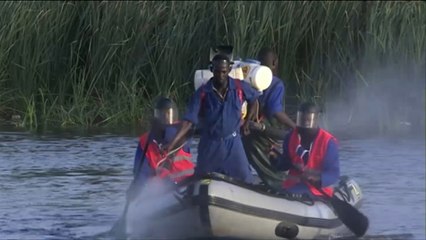 السلطاتُ الموريتانية تبدأ حملة لمكافحـة أسراب البعوض