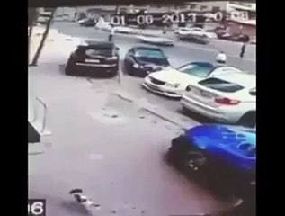 Durdurulamayan Köpek Düşmanı Kedi - Komik videolar - Funny videos