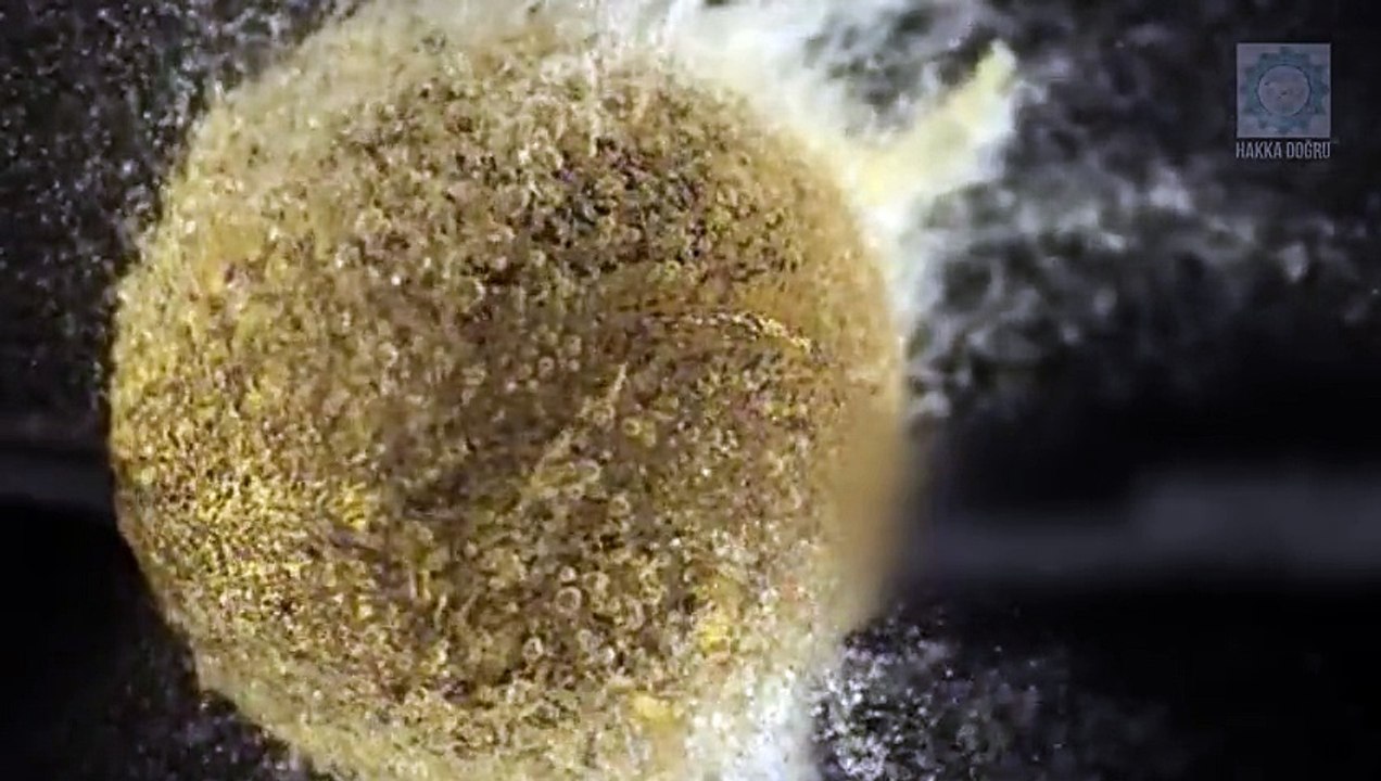 Dünyayı Birde Bu Hızda İzleyin (Ağır Çekimler) - Komik videolar - Funny videos