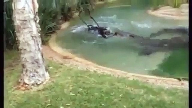 Timsah Çim Biçme Makinesini Kaptı - Komik videolar - Funny videos