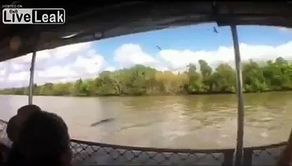 Timsahın Tur Teknesine Saldırma Anı - Komik videolar - Funny videos