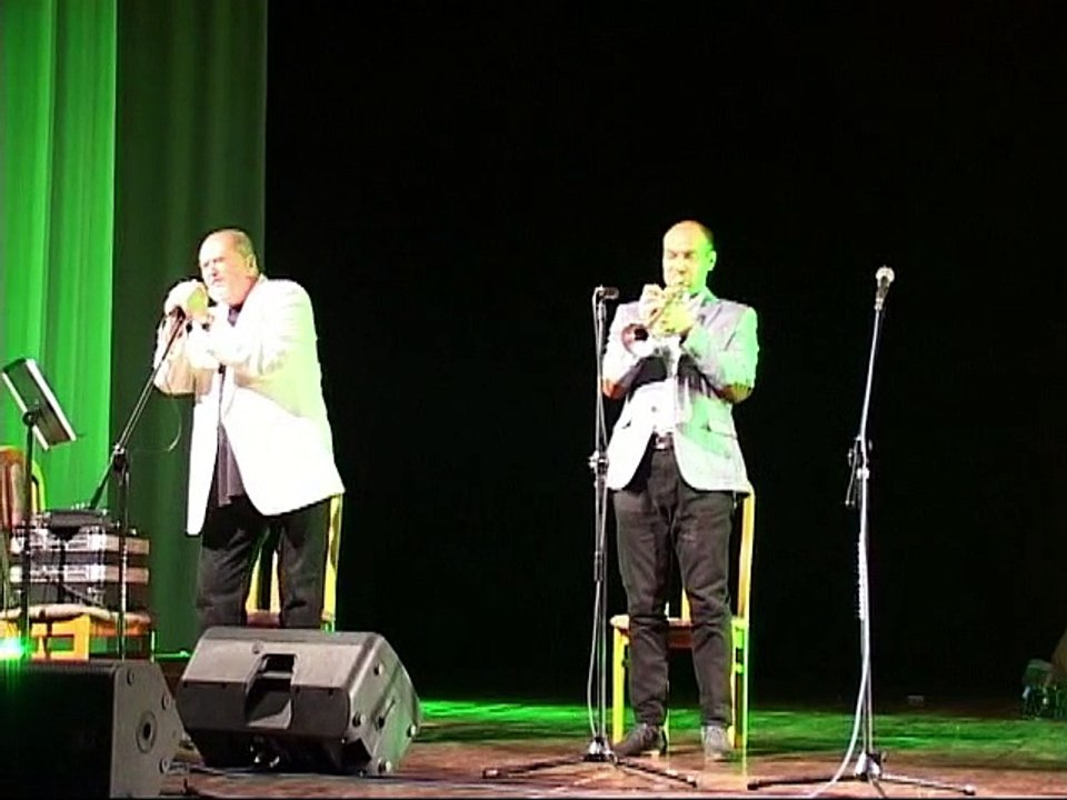 Koncert papieski