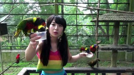 [烏骨雞×鳥類觀測字幕組]151003 高柳本音 高柳明音.1080p