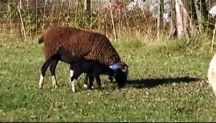 Les Hautes-Pyrénées profitent d'un bel été indien