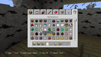 Minecraft: PlayStation®4 Edition_8